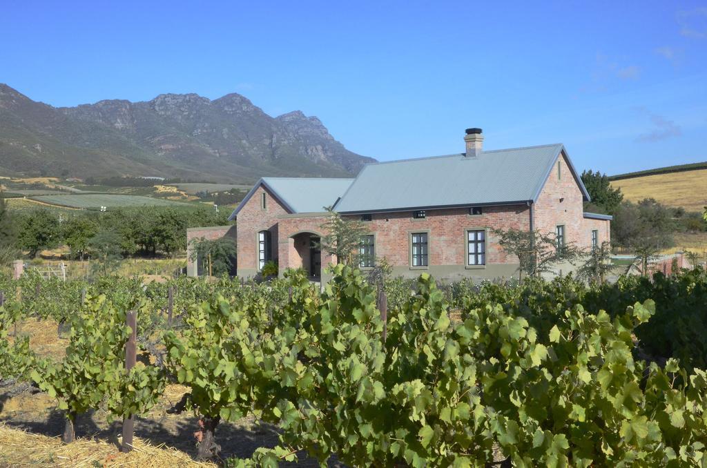 Vineyard Views Country House Guest House Riebeek-Kasteel Exterior photo