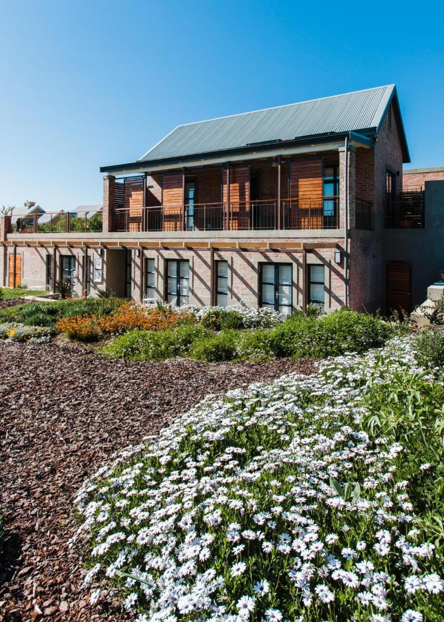 Vineyard Views Country House Guest House Riebeek-Kasteel Exterior photo