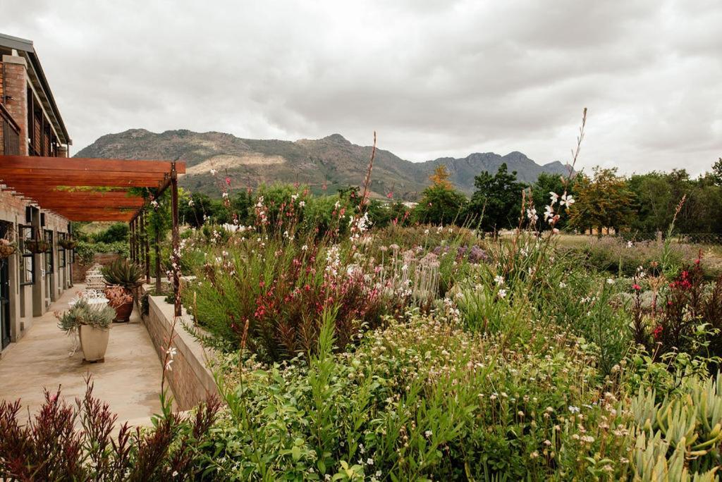 Vineyard Views Country House Guest House Riebeek-Kasteel Exterior photo