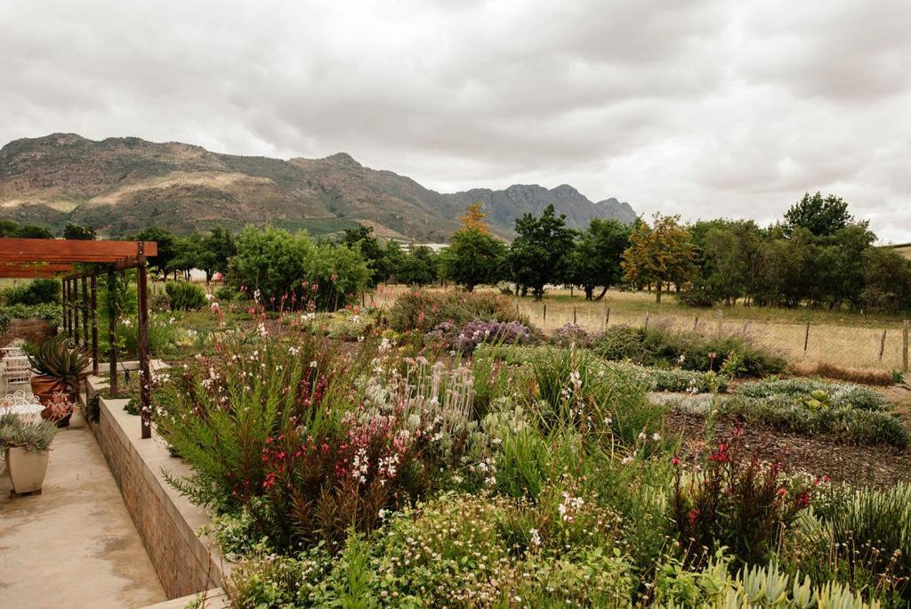 Vineyard Views Country House Guest House Riebeek-Kasteel Exterior photo