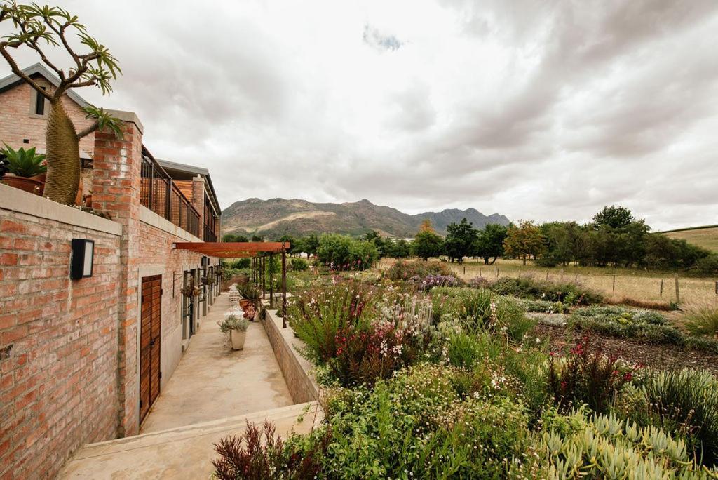 Vineyard Views Country House Guest House Riebeek-Kasteel Exterior photo