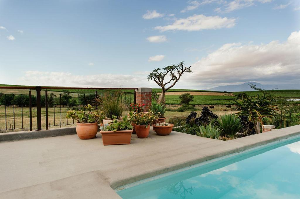 Vineyard Views Country House Guest House Riebeek-Kasteel Exterior photo